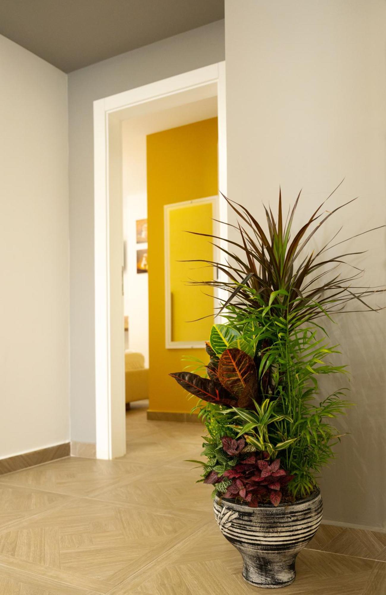 Hotel Luris โกเลม ภายนอก รูปภาพ
